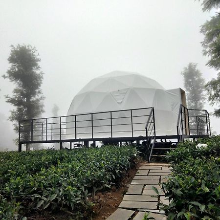 Vythiri Tea Valley I Best Hotel In Wayanad L Hotels In Vythiri Wayanad Экстерьер фото