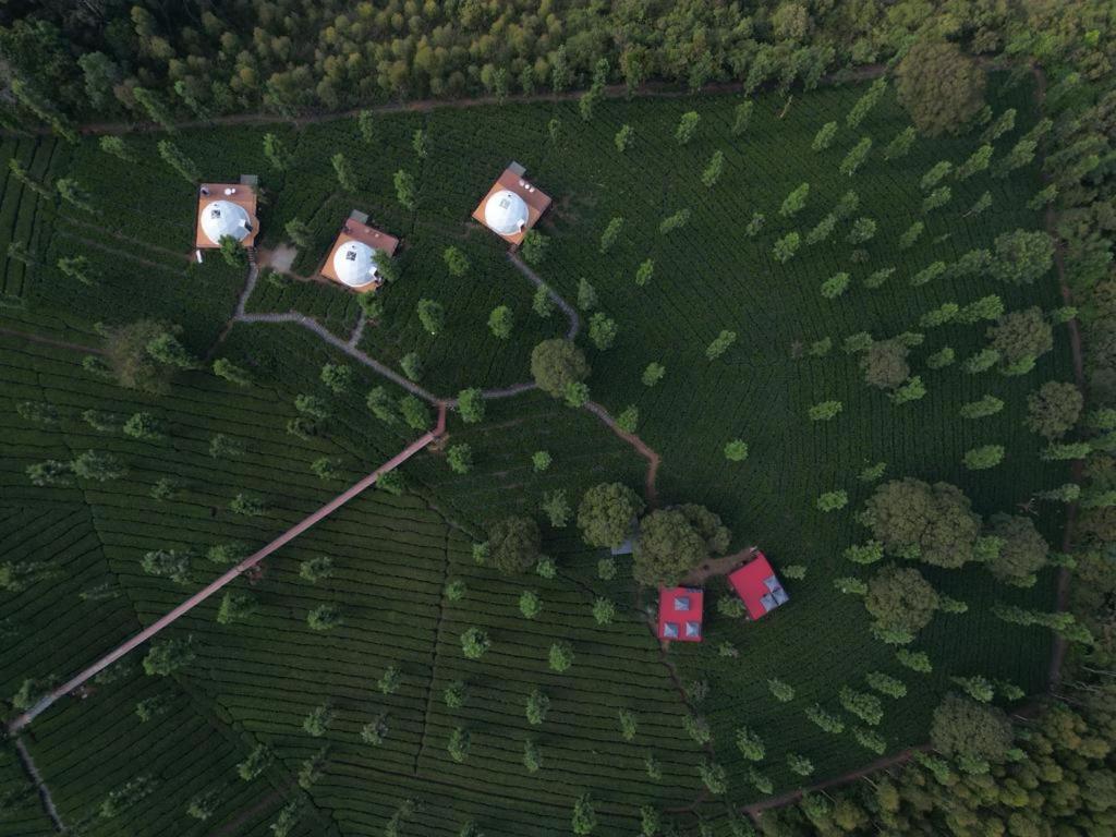 Vythiri Tea Valley I Best Hotel In Wayanad L Hotels In Vythiri Wayanad Экстерьер фото