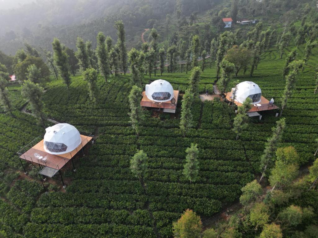 Vythiri Tea Valley I Best Hotel In Wayanad L Hotels In Vythiri Wayanad Экстерьер фото