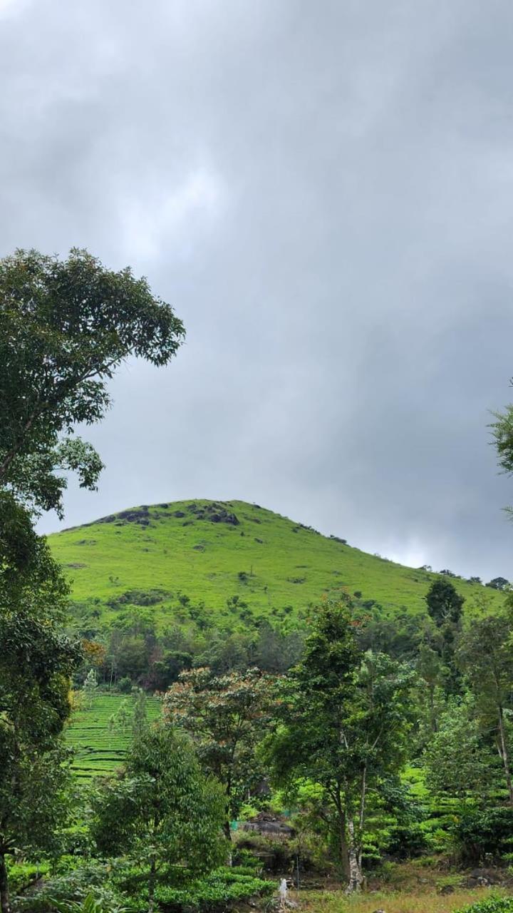 Vythiri Tea Valley I Best Hotel In Wayanad L Hotels In Vythiri Wayanad Экстерьер фото