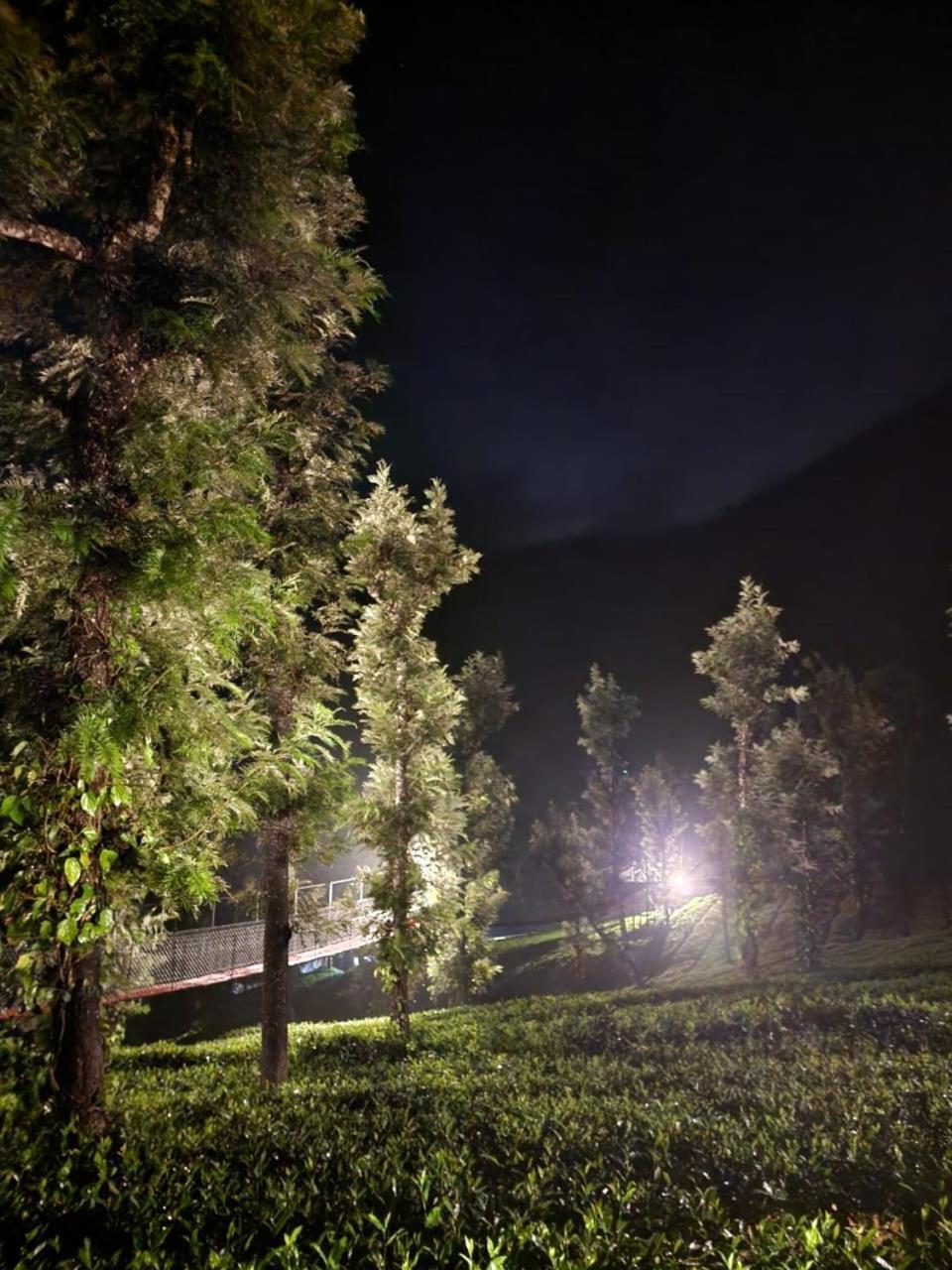 Vythiri Tea Valley I Best Hotel In Wayanad L Hotels In Vythiri Wayanad Экстерьер фото