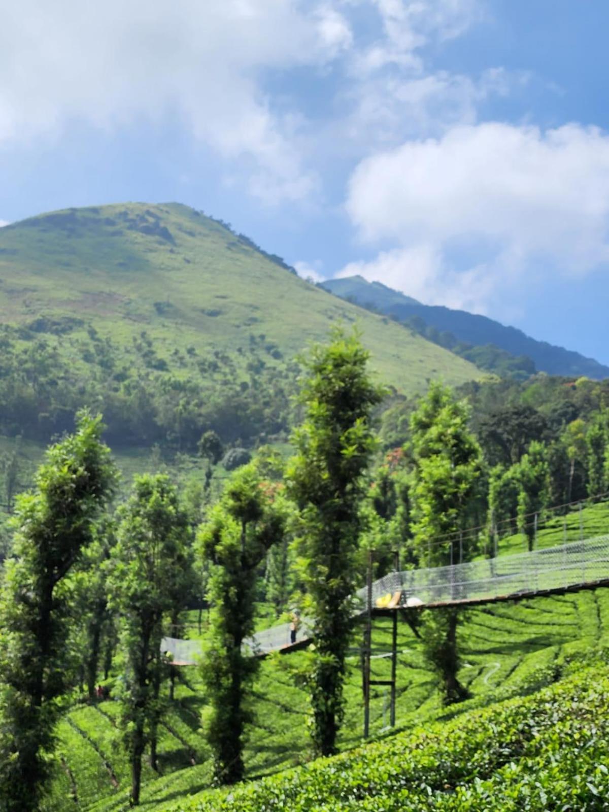 Vythiri Tea Valley I Best Hotel In Wayanad L Hotels In Vythiri Wayanad Экстерьер фото