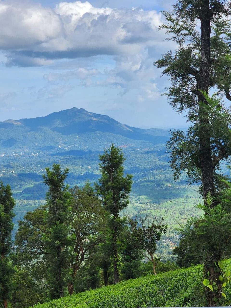Vythiri Tea Valley I Best Hotel In Wayanad L Hotels In Vythiri Wayanad Экстерьер фото